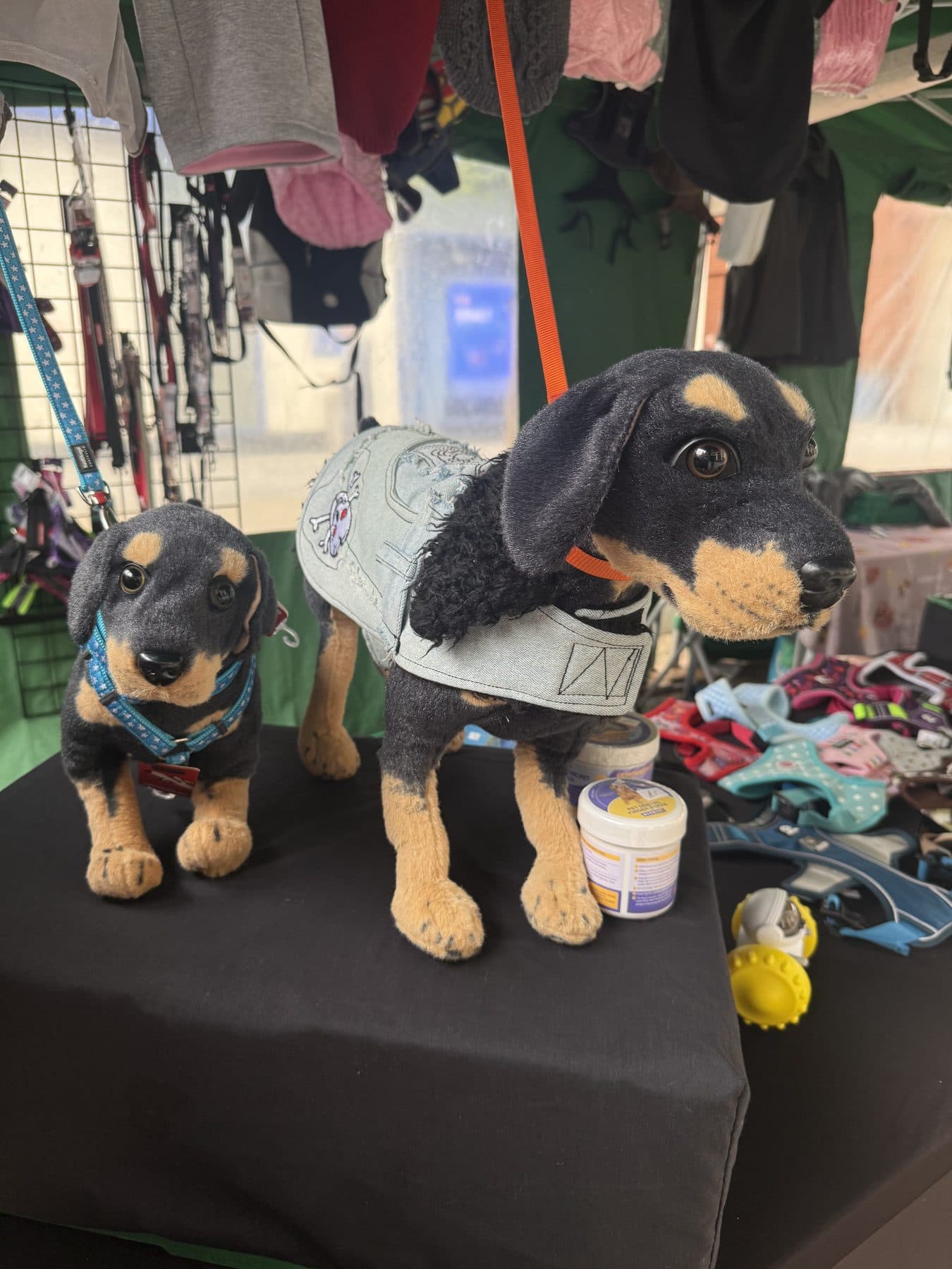 Dog coats, harnesses and leads on the pet stall