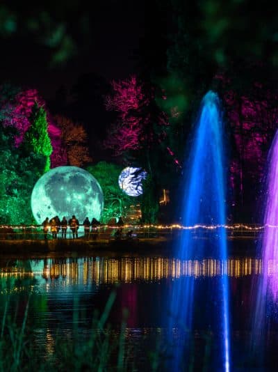 Leonardslee Illuminated, picture 1